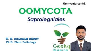 Lec 19 Oomycota Saprolegniales  Mycology  Plant Pathology  BScMSc Agriculture [upl. by Lledualc]