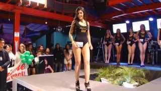 Desfile Maiô  Miss Alegrete 2014 [upl. by Gunar625]