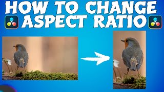 How to change ASPECT RATIO in Davinci Resolve 186  Modify Aspect Ratio  Edit VERTICAL VIDEO [upl. by Akenit]