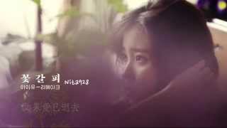 中字  IU  如果愛已逝去사랑이 지나가면When a Love Passes [upl. by Ecyarg]