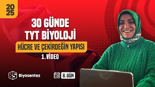 10Hücre ve Çekirdeğin Yapısı   TYT Biyoloji Kampı  2025  9Sınıf  Ücretsiz PDF [upl. by Maupin]