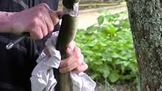 Comment dépouiller une anguille  How to strip an eel [upl. by Beitnes]