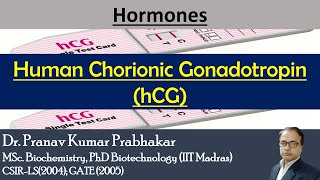 Human Chorionic Gonadotropin hCG clinicalbiochemistry pkprabhakar [upl. by Seabury]