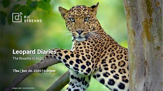 Leopard Diaries [upl. by Atilam989]