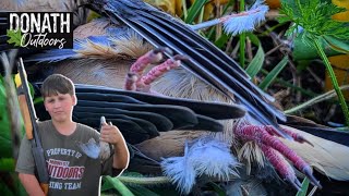 Missouri Dove Hunting  2 Ways to Dress a DOVE [upl. by Yadahs]