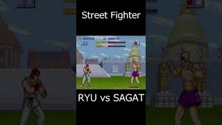 Street Fighter Sagat Win Poses [upl. by Nnaeirrac]