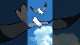 Seagull French Fry Thief animation comics cartoon funny shorts seagulls [upl. by Lanevuj772]