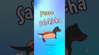 Perro salchicha gordo bachicha perrosalchicha shorts aaronjandette perros [upl. by Leonard62]