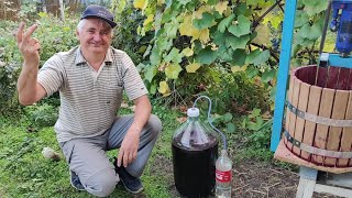 Home winemaking Making red wine from grape berries at home Part 2 [upl. by Nauquf]