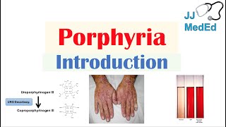 Introduction to Porphyria  Porphyria Cutanea Tarda vs Acute Intermittent Porphyria [upl. by Savanna]