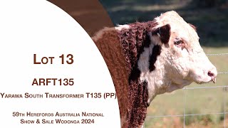 Lot 13 Yarawa South Transformer T135 PP [upl. by Corrine515]