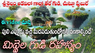 middelagudi srisailam padayatra old route అతిరహస్యమైన మిద్దెలగుడిని శ్రీశైలం అడవిలో కనుగొన్నాం [upl. by Mcmahon]