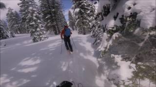 Trimmer Peak  Elevens Tahoe Backcountry Skiing [upl. by Ycrem620]