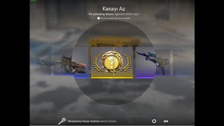 Fracture Case Opening Drop  CS2 [upl. by Fortunna617]