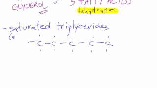 Bio B4  Lipid Macromolecules [upl. by Nevur993]