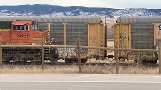 Pacing a BNSF coal train at Littleton [upl. by Assirek]