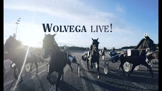 Wolvega Live  Uitzending integraal van 26092024 [upl. by Oeht17]