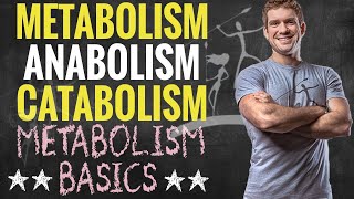 Metabolism Anabolism and Catabolism [upl. by Gilda]