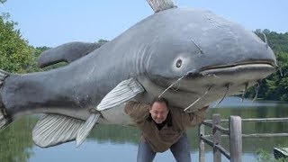 Debunking Catfishing Myths Plus awesome tip and techniques for catching catfish [upl. by Rawlinson611]