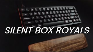 Silent Clicky Switches Custom Kailh Silent Box Royal sound test [upl. by Nylasor]