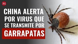 China alerta por virus que se transmite por garrapatas síntomas [upl. by Suoilenroc235]