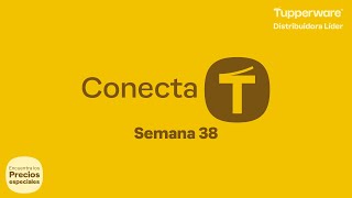 ConéctaT 38┃Catálogo 10┃2024 [upl. by Siraved645]