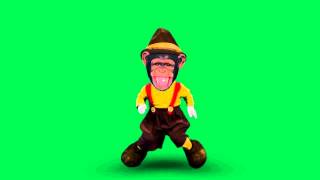 FREE Green Screen Dancing Monkeys 04 HD [upl. by Avlis547]