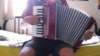 Zelda theme on accordion [upl. by Eamon]