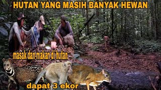 BERPETUALANG DAN BERBURU DI HUTAN MENGGUNAKAN JERAT LUMAYAN HASIL NYA MAKAN DAN MASAK DI HUTAN [upl. by Aihsenal]