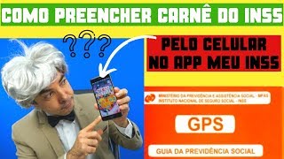 COMO PREENCHER O CARNÊ DO INSS 2019 [upl. by Regina]