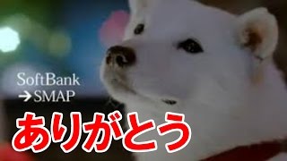 「スマスマ」最終回、一度だけ流れたソフトバンクのCM [upl. by Amsden]