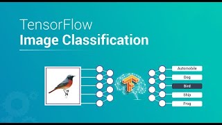 Tensorflow Image Classification on Custom Dataset [upl. by Charles543]