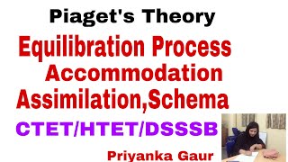 P11 Piaget’s Theory EquilibrationAssimilationAccommodationSchemas  CTETHTETDSSSBTET’s Exam [upl. by Llewellyn]