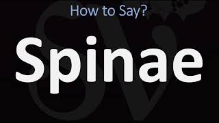 How to Pronounce Spinae CORRECTLY [upl. by Wordoow596]