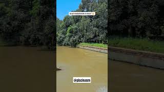 você arriscaria 😳😱💦🤣 piscinas agua tratamento piscinasnaturais [upl. by Kearney]