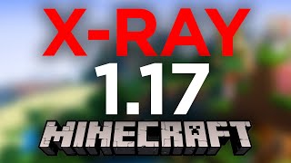 How to Download and Install XRay for Minecraft 117 Texture Pack [upl. by Tate]