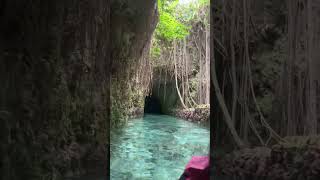 Xcaret Park in Cancun MX nature amazingshorts explore cancun mexico [upl. by Primavera]