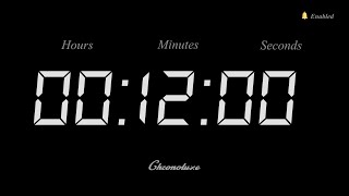 12Minute Timer  Clean and Sleek Countdown [upl. by Malony786]
