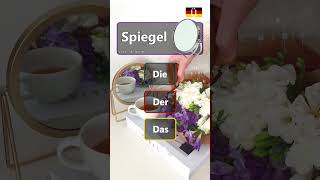 Spiegel deutschlernen learngerman [upl. by Ecirtahs]