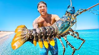 Catching Giant Lobsters For Food On Remote Island [upl. by Mulligan]