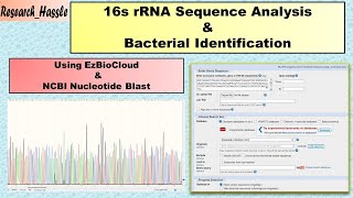 16S rRNA Sequence Analysis and Bacterial Identification [upl. by Airrat]