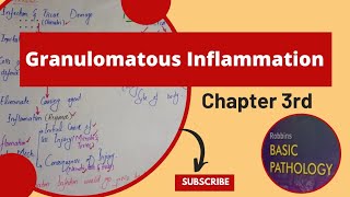 Granulomatous Inflamationchronic inflammationRobbins Pathology Lecturespathology robbins mbbs [upl. by Emmet68]