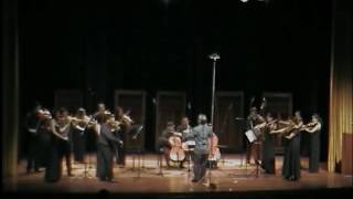 Mozart Divertimento K136 II Andante [upl. by Rutra]