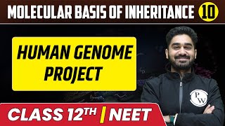 Molecular Basis Of Inheritance 10  Human Genome Project  Class 12thNEET [upl. by Irpac]