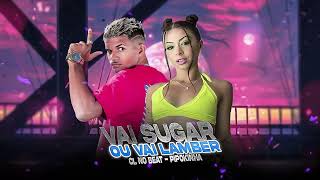 CL NO BEAT PIPOKINHA MC TETEU  VAI SUGR OU VAI LAMB3R  REMIX BREGA FUNK [upl. by Wolfort66]