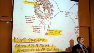 BIOLOGY CHROMOSOME ANOMALIES amp GENETIC DISEASES by Professor Finkwmv [upl. by Annissa]