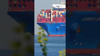 😱 Cosco 🚢 Shipping  Huge Close up of MaritimeIndustry Shipping MarineTechnology shots video [upl. by Callida]