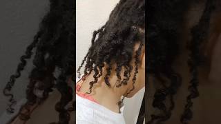 Starter locs locmaintenance hairgrowth locs starterlocs haircare retwistlocs shorts locstyle [upl. by Niran317]