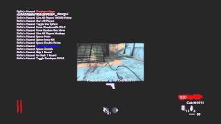 CoD WaW Physics n Flex v2 Infectable Mod Menu  FREE Invites [upl. by Tiena287]