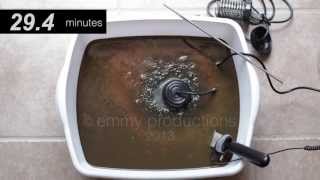 Detox Detoxification Foot Bath SCAM [upl. by Ailbert]